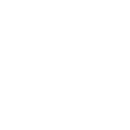 link to Fidelis Capital YouTube width=